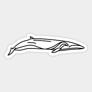 Sei Whale Sticker